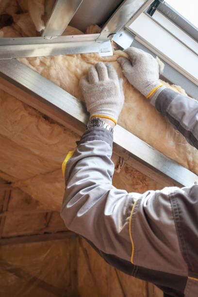 Best Cellulose Insulation in East Vineland, NJ